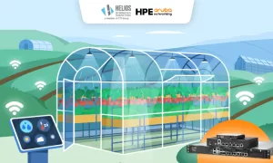 peran sd wan dalam industri perkebunan